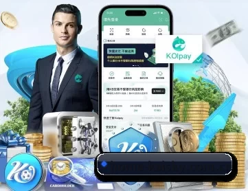 home-kaisky.com.cn APP 深度功能